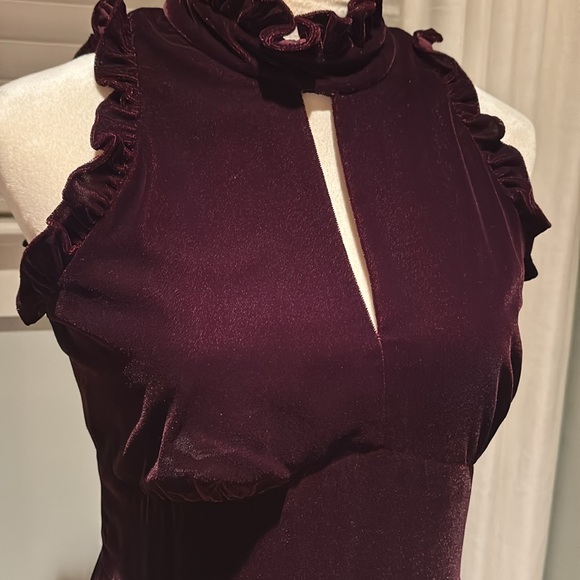 Shoshanna dark burgundy velvet evening gown - Picture 9 of 15